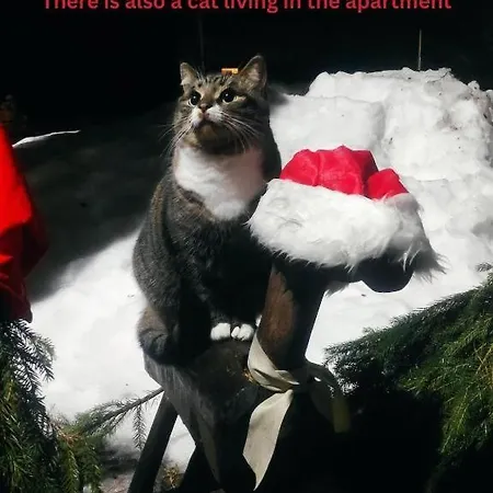 Hubane Korter Moisa Ajaloolises Veskis - Cozy In *